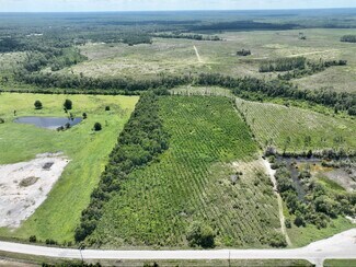 More details for 0 CR 218 and US Route 301, Jacksonville, FL - Land for Sale