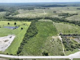 More details for 0 CR 218 and US Route 301, Jacksonville, FL - Land for Sale