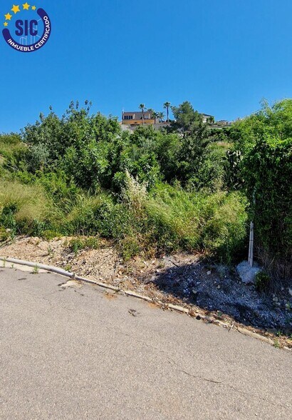 Land in Turís, Valencia for sale - Primary Photo - Image 3 of 22