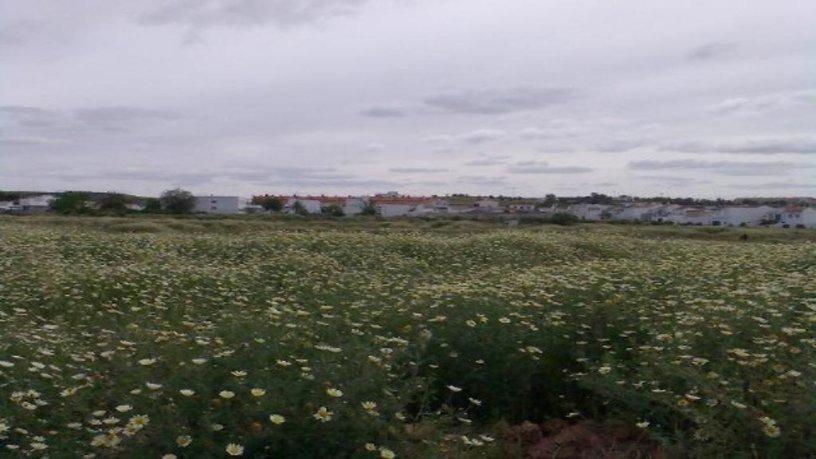 Industrial in Carrión de los Céspedes, Sevilla for sale Site Plan- Image 1 of 4