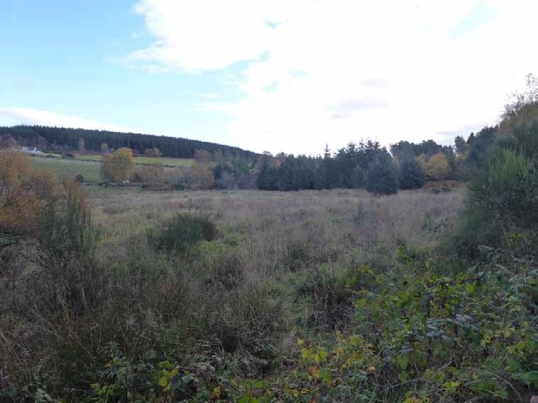 Dallas, Forres for sale - Building Photo - Image 1 of 1