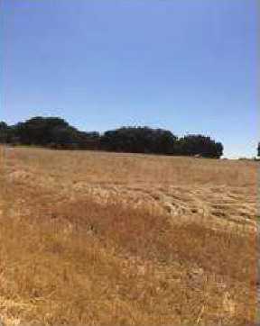 More details for Land for Sale