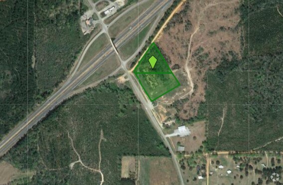 NE I-65 & Hwy 41, Repton, AL for sale - Primary Photo - Image 1 of 1