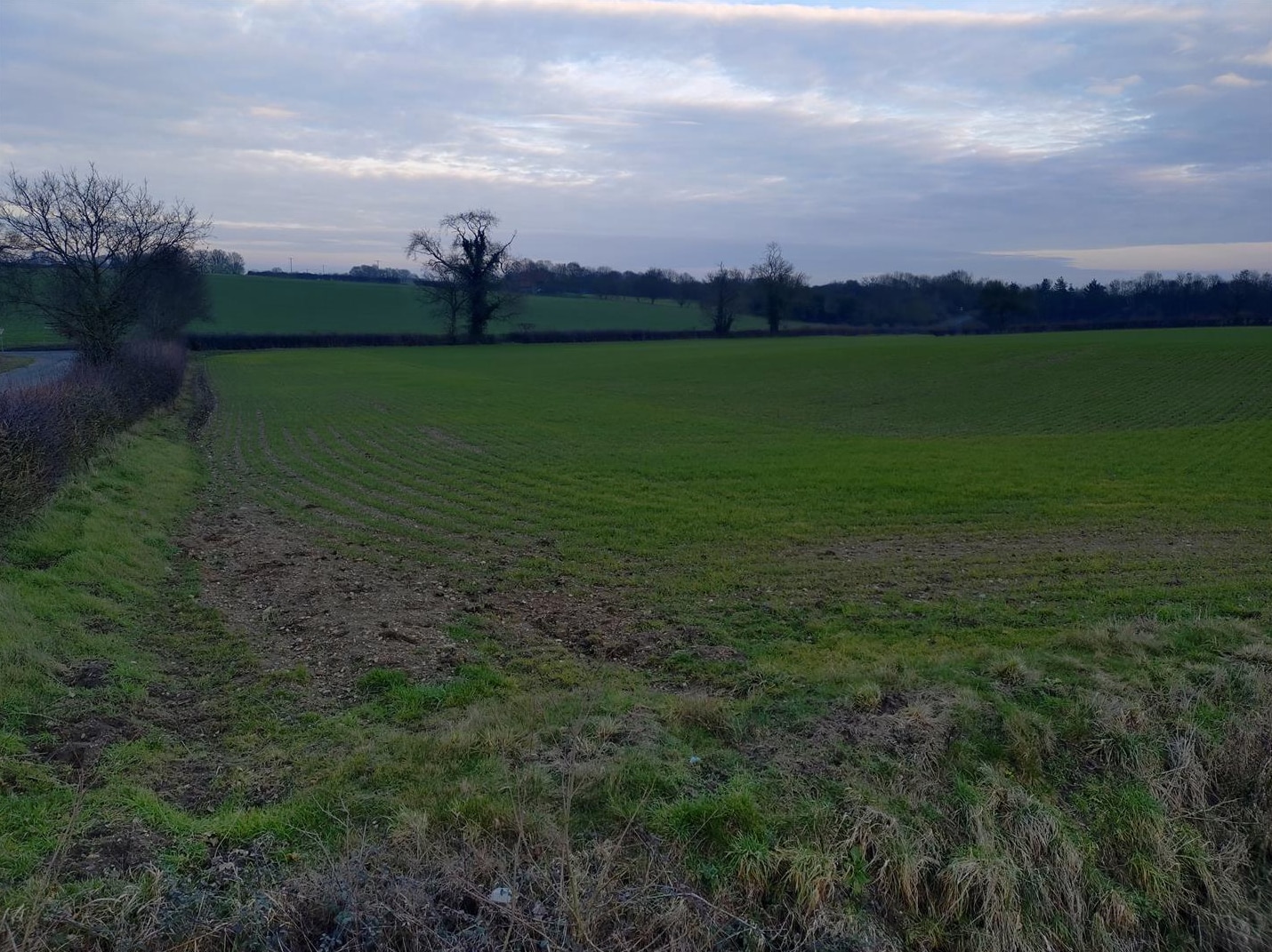 Mather Ln, Needham for sale Primary Photo- Image 1 of 4