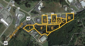 More details for Burke Blvd, Louisburg, NC - Land for Sale