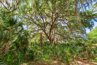 More details for 0 Jameson Road, Lithia, FL - Land for Sale