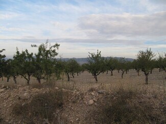 More details for Land for Sale