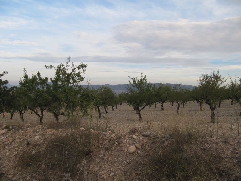 Land in Salinas for sale Building Photo- Image 1 of 2