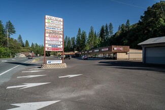 More details for 20104 State Highway 88, Pine Grove, CA - Retail for Sale