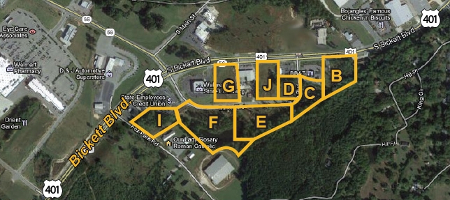 1173 US 401 Hwy, Louisburg, NC for sale - Building Photo - Image 1 of 1