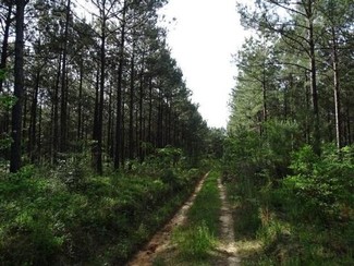 More details for Courtney Rd, Lumberton, MS - Land for Sale