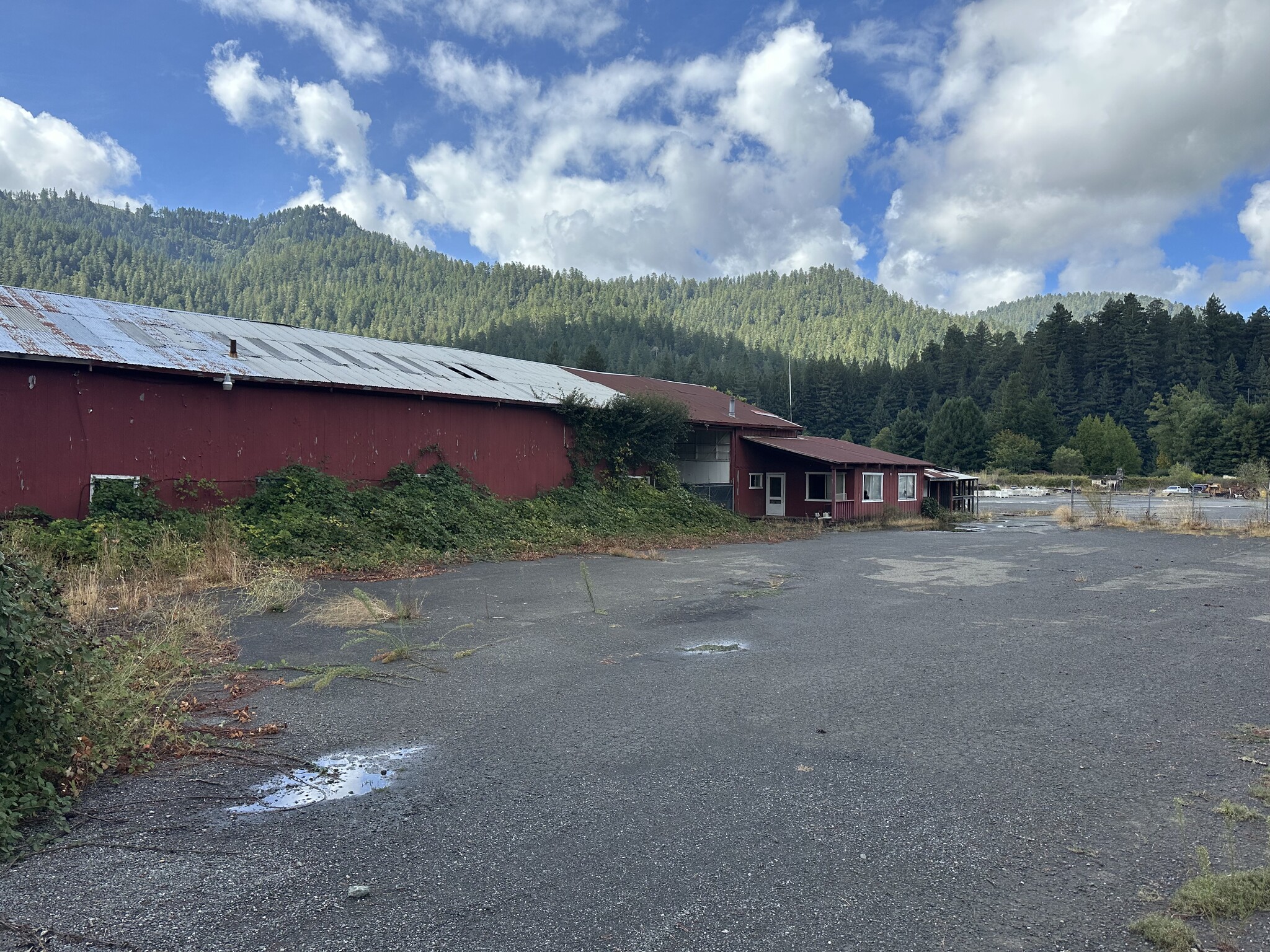 13026 Avenue of the Giants, Myers Flat, CA for sale Building Photo- Image 1 of 9