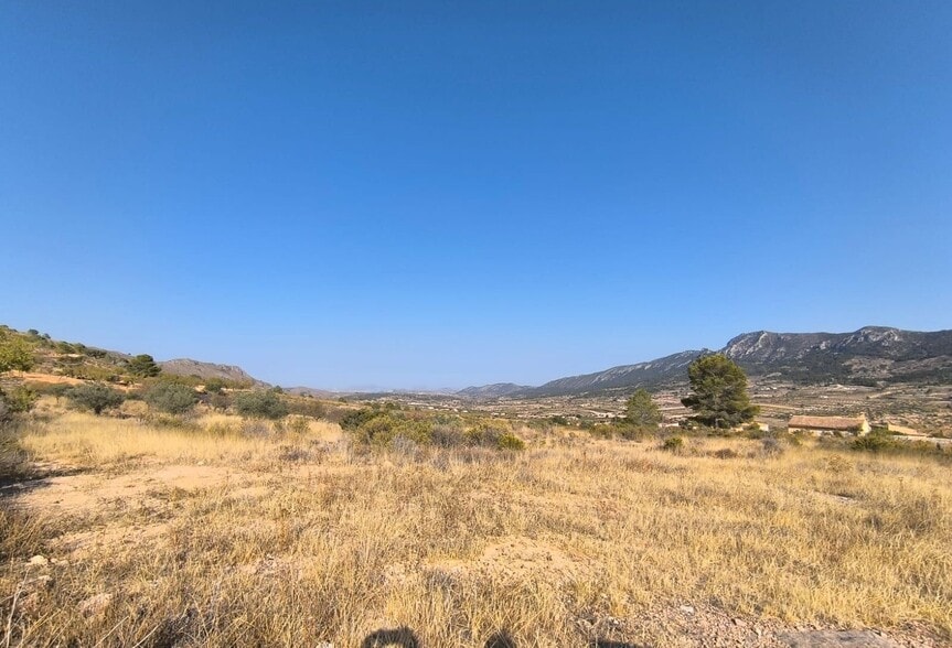 Land in Algueña, Alicante for sale - Primary Photo - Image 2 of 4