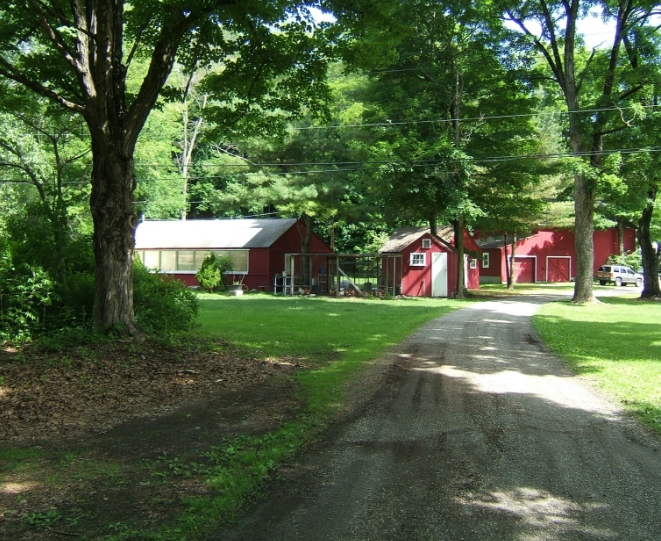 247 Dover Furnace Rd, Dover Plains, NY for sale - Primary Photo - Image 1 of 1