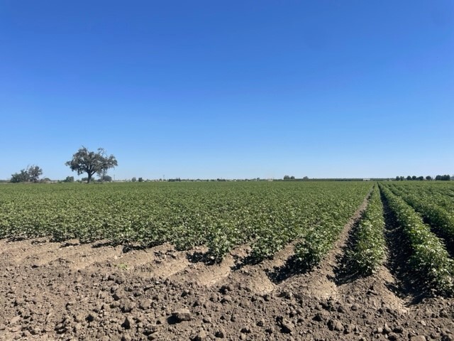 19299 W. Lacey Blvd., Lemoore, CA for sale - Building Photo - Image 2 of 4