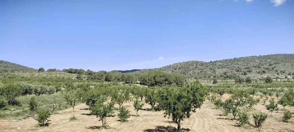 Land in Yecla, Murcia for sale - Aerial - Image 2 of 6