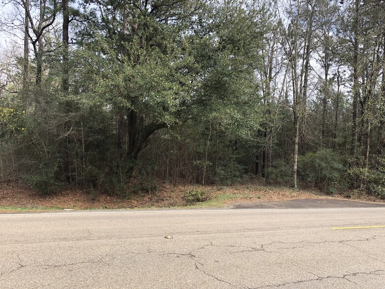 Hwy 190 and Hwy 22, Mandeville, LA for sale - Building Photo - Image 2 of 5