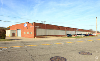 More details for 27600 Lakeland Blvd, Euclid, OH - Industrial for Sale