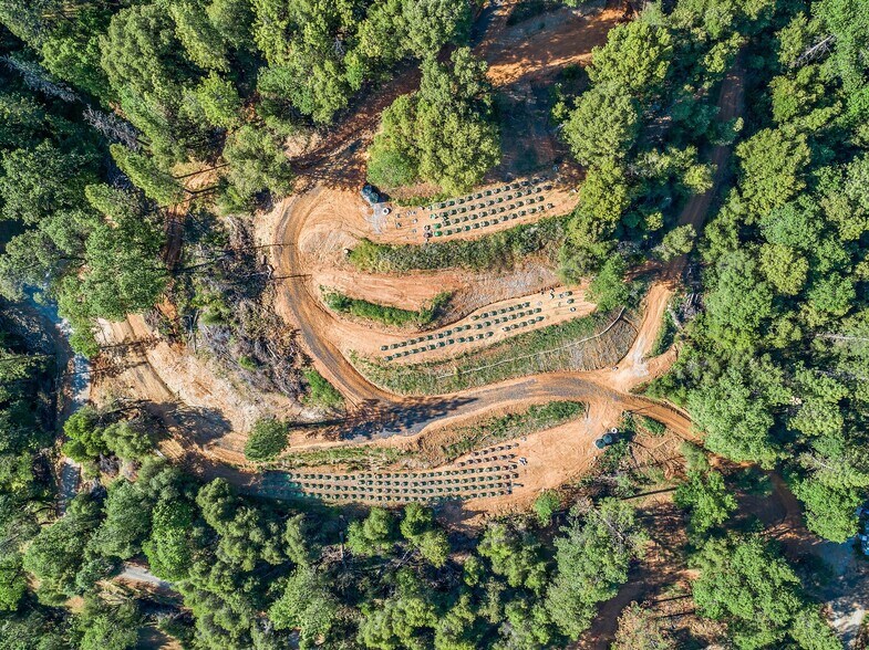 2885 N Railroad Flat Rd, Wilseyville 95257 UK