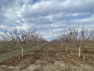 More details for 45900 Block Shields Ave, Firebaugh, CA - Land for Sale