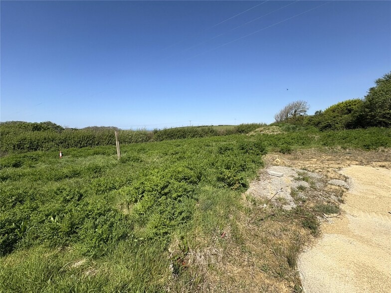 A39, Poundstock for sale - Other - Image 2 of 10