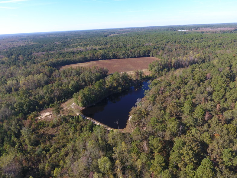 Jefferson Davis Hwy, Bethune, SC for sale - Primary Photo - Image 1 of 1