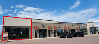 More details for 2301 W Trevi Pl, Sioux Falls, SD - Retail for Rent