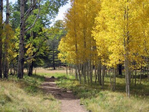 456 John Wesley Powell Boulevard Blvd, Flagstaff, AZ for rent Building Photo- Image 1 of 6