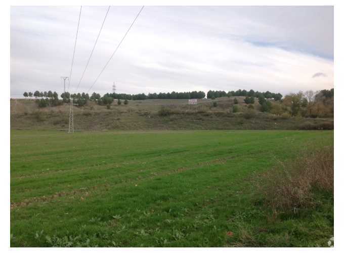 Carretera M-206, Loeches, Madrid for sale - Building Photo - Image 2 of 5