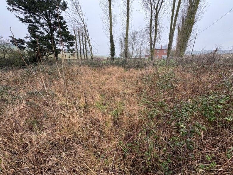 Docking Rd, Burnham Market for sale - Other - Image 3 of 10