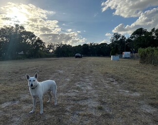 More details for Cattlemen Rd, Sarasota, FL - Land for Rent