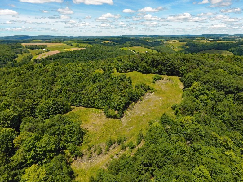 0 Stony Fork Creek Rd, Wellsboro 16901 UK