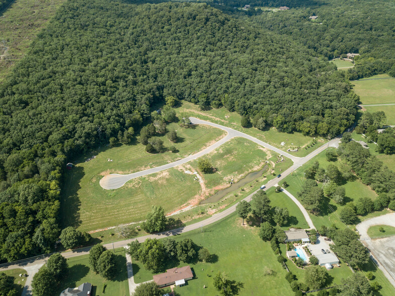 Dug Hill Road, Brownsboro, AL for sale - Building Photo - Image 3 of 13