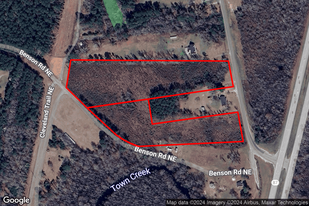 10.5 Acre Site US Hwy 17 Brunswick County NC - Commercial Property