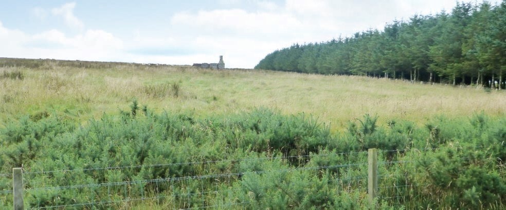 Philip Mains, Thurso for sale - Primary Photo - Image 1 of 1