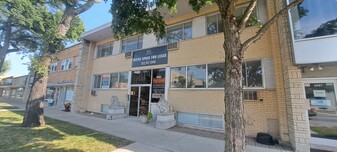 6955 W North Ave, Oak Park IL - Commercial Property