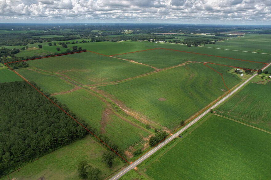 01 Morton Rd, Century 32535 135 Acres Ready to Develop or Farm