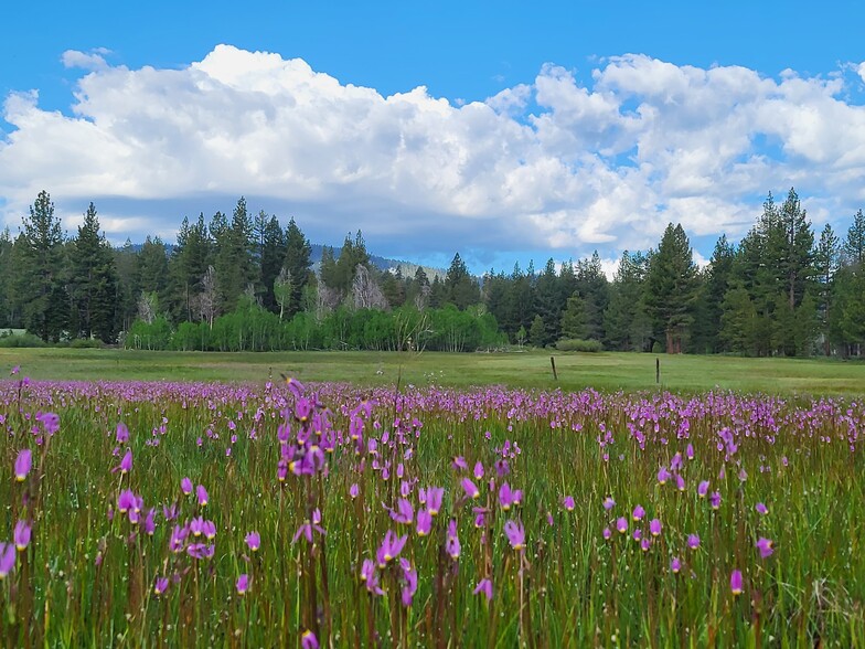 320 Independence Lake Rd, Sierraville, CA for sale - Building Photo - Image 1 of 40