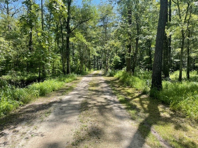 000 Gator walk, Ridgeville, SC for sale - Building Photo - Image 2 of 12