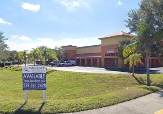 More details for 413 NE Van Loon Ln, Cape Coral, FL - Light Industrial for Rent