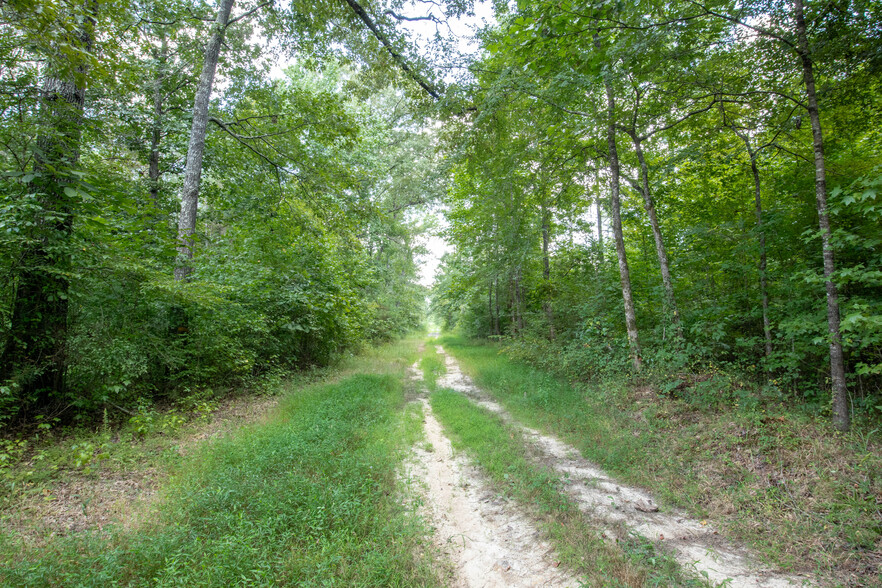 Hearn Rd Cairo Rd White ln, Pheba, MS for sale - Building Photo - Image 2 of 33