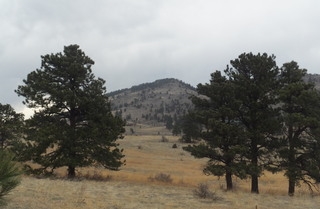 Snowy Ridge Rd, Evergreen, CO for sale Primary Photo- Image 1 of 1