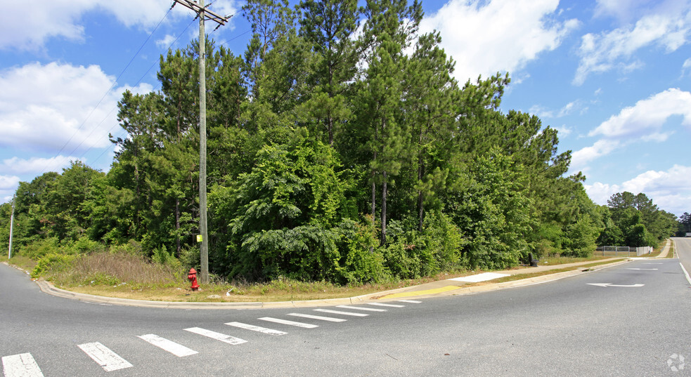 Pat Thomas Pkwy, Quincy, FL for sale - Primary Photo - Image 1 of 1