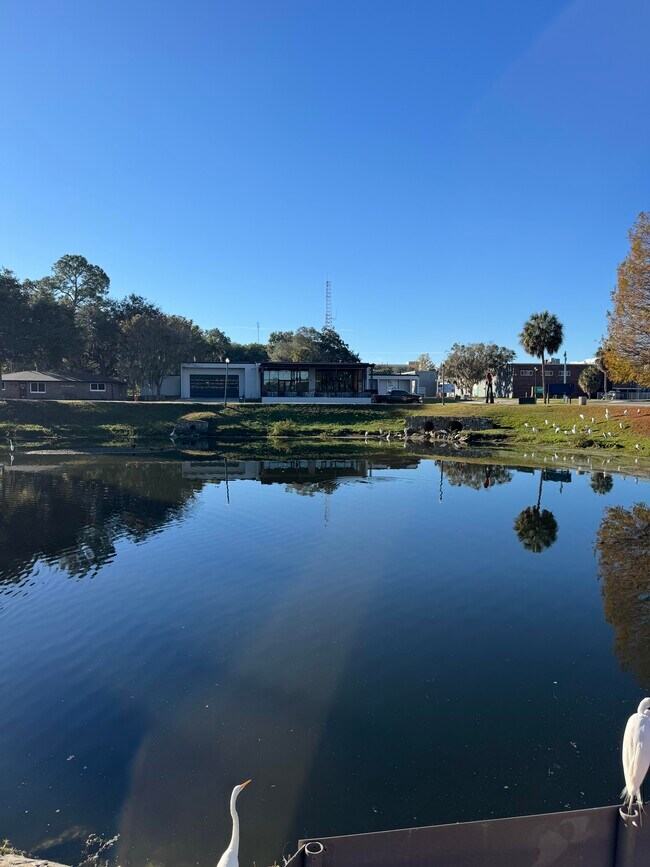 More details for 235 NE Watula Ave, Ocala, FL - Retail for Sale