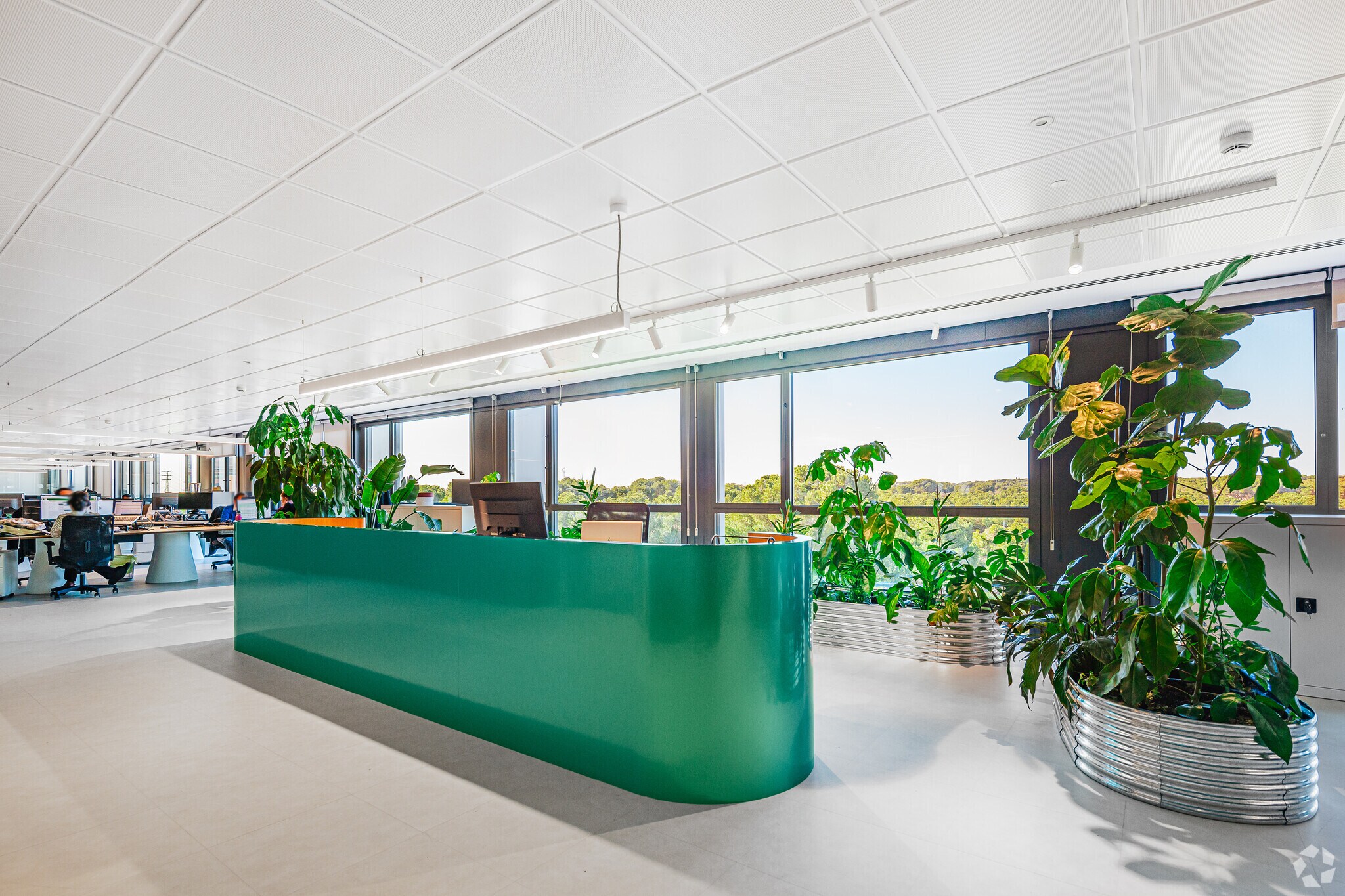 Camino Cerro de los Gamos, 1, Pozuelo de Alarcón, Madrid to rent Interior Photo- Image 1 of 8