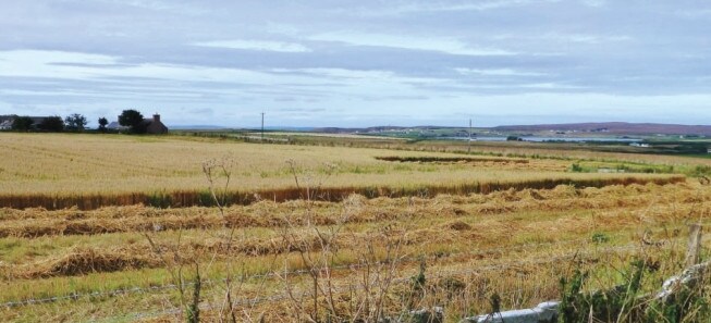 Barrock Brae, Thurso for sale Building Photo- Image 1 of 1