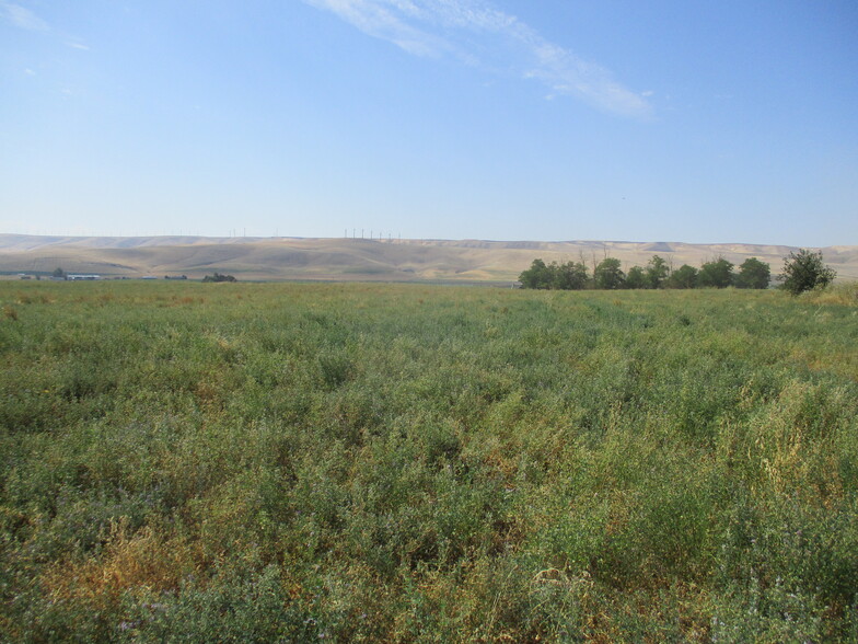 Thurber, Touchet, WA for sale - Primary Photo - Image 1 of 3