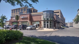 More details for 9500 W Higgins Rd, Rosemont, IL - Retail for Rent