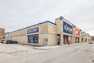 More details for 1651 Merivale Rd SE, Ottawa, ON - Retail for Rent