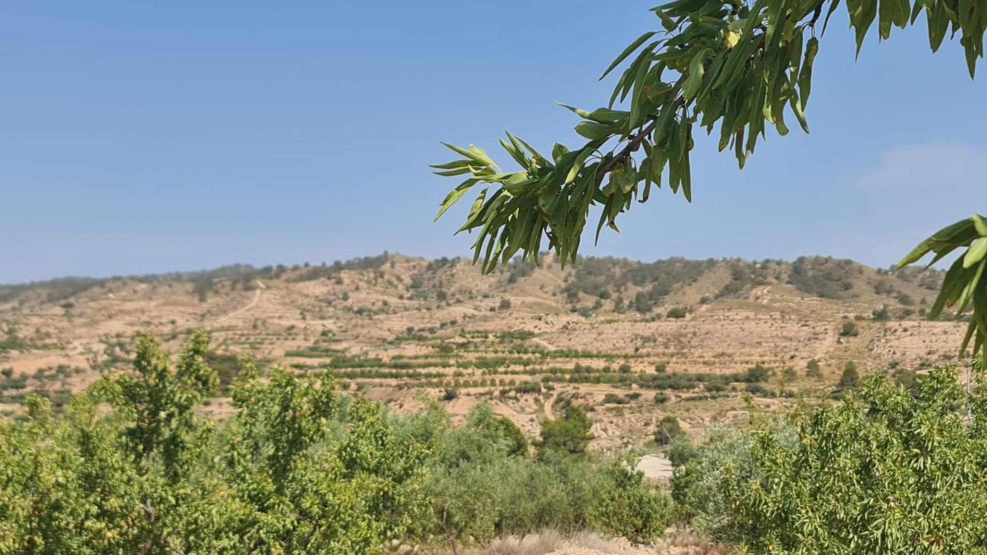 Land in Abanilla, Murcia for sale Primary Photo- Image 1 of 11